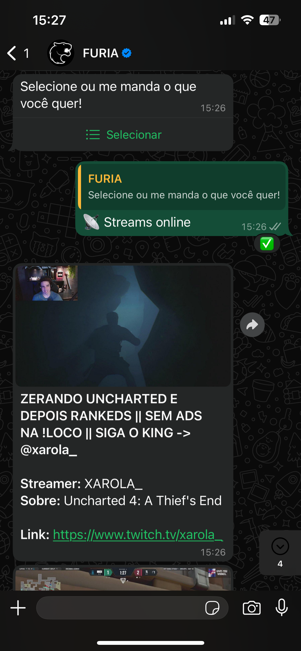 Streamers e criadores da FURIA no WhatsApp
